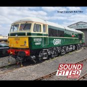 Bachmann Branchline 35-780SFX Class 69 69005 'Eastleigh' BR Green (Late Crest) (GBRf) Dcc Sound Deluxe (OO Gauge) Free Postage